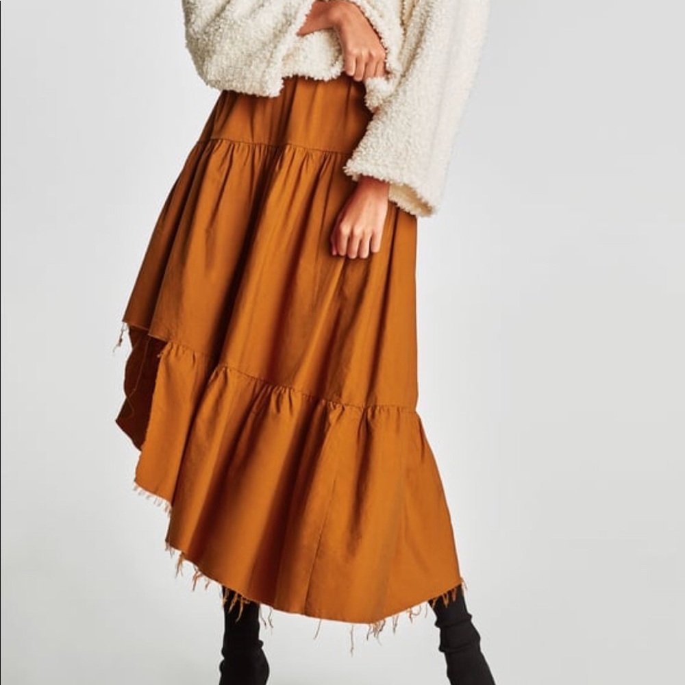 Zara Asymmetric Skirt